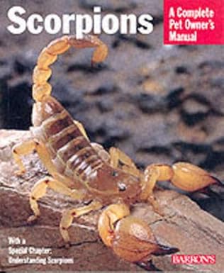 Practical Scorpion Care Guide