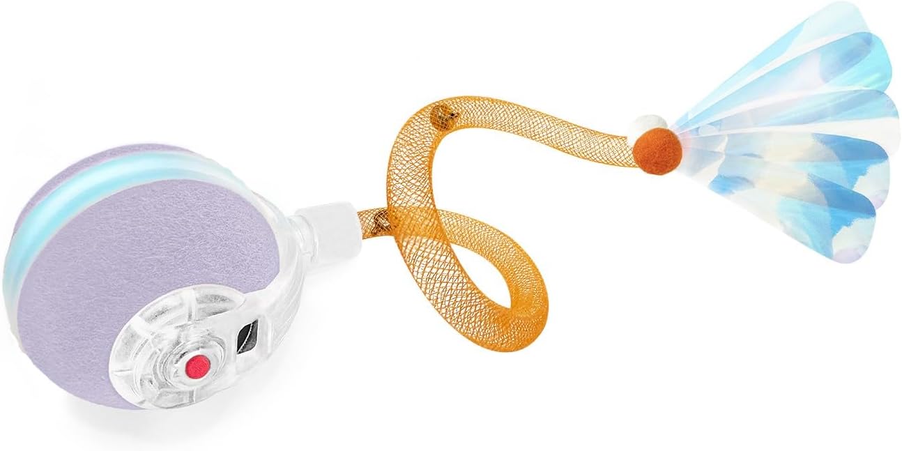 Interactive Ball for Playful Siamese Cats