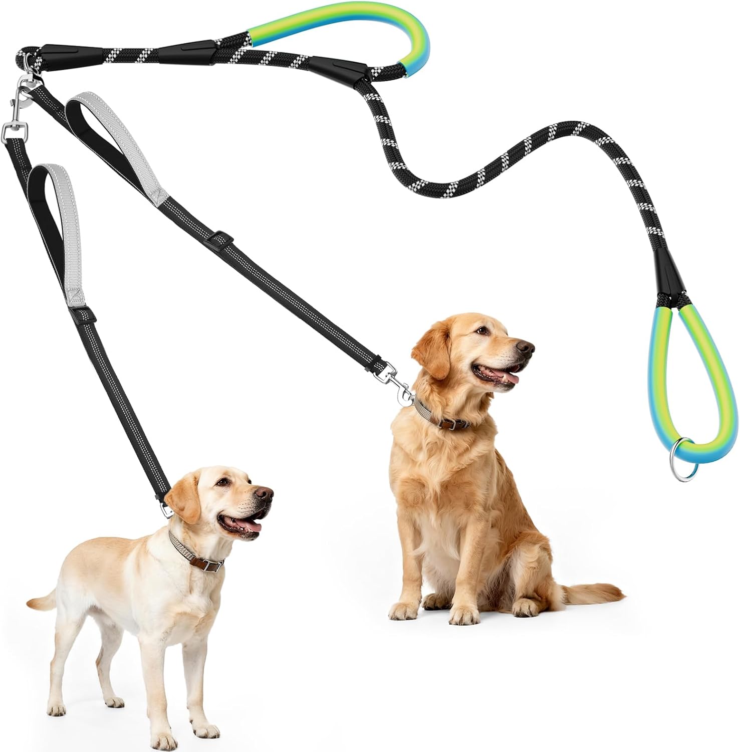 No-Tangle Double Leash for Two Dogs