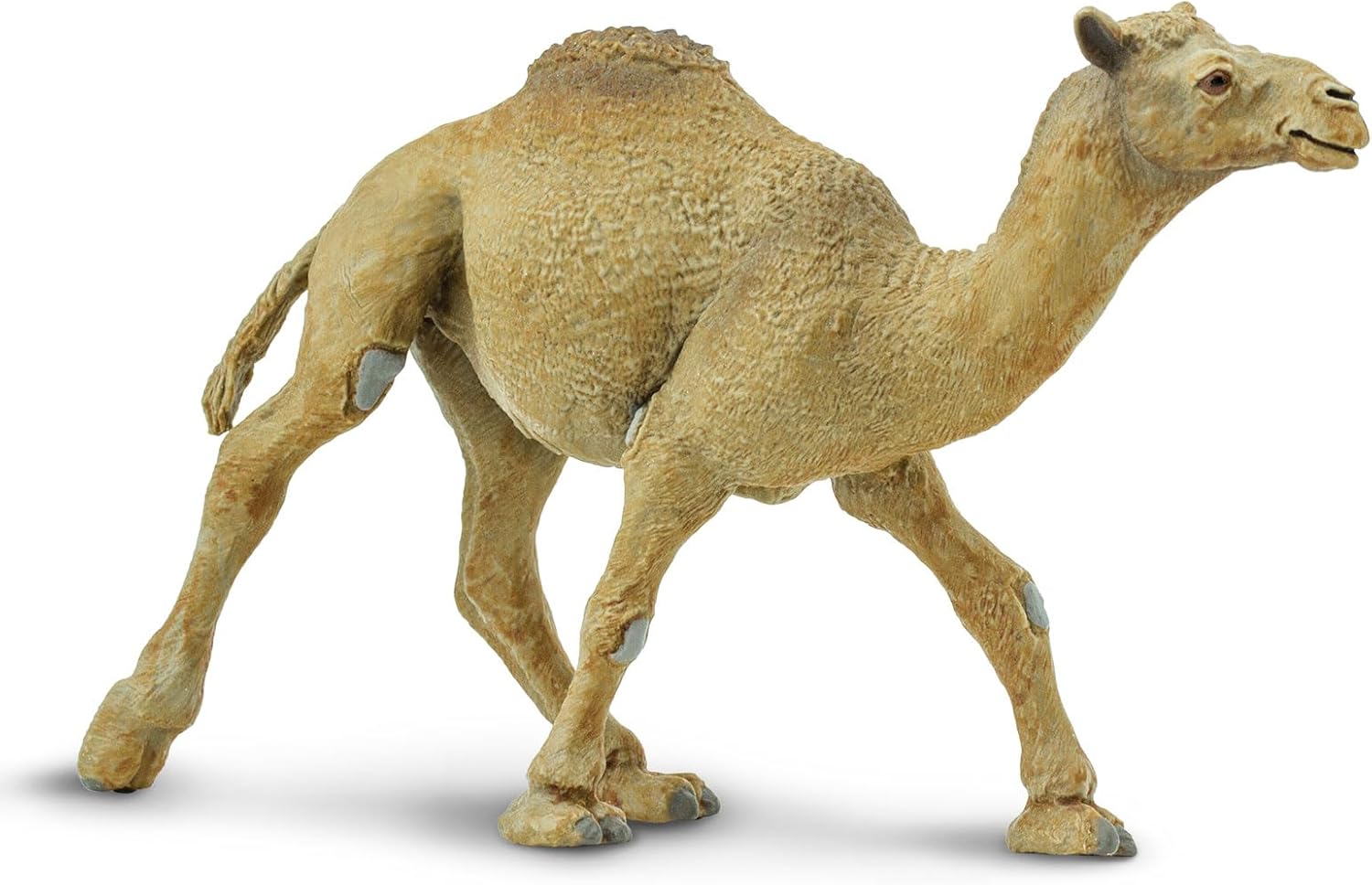 Safari Ltd Dromedary Camel Toy