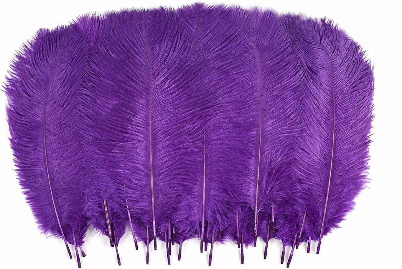 Ostrich Decor for Bold Bird Fans