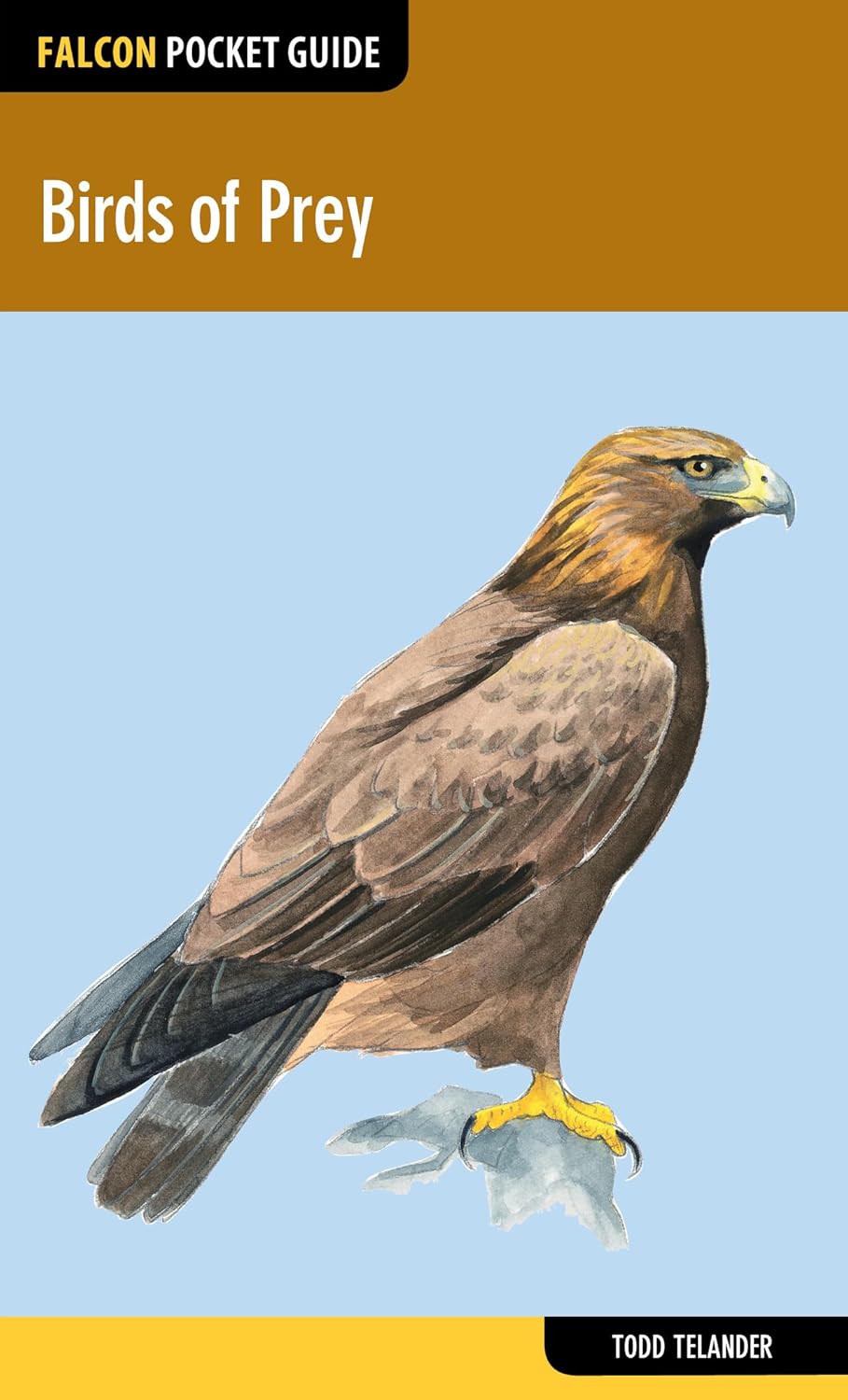 Field Guide for Falcon and Raptor Fans