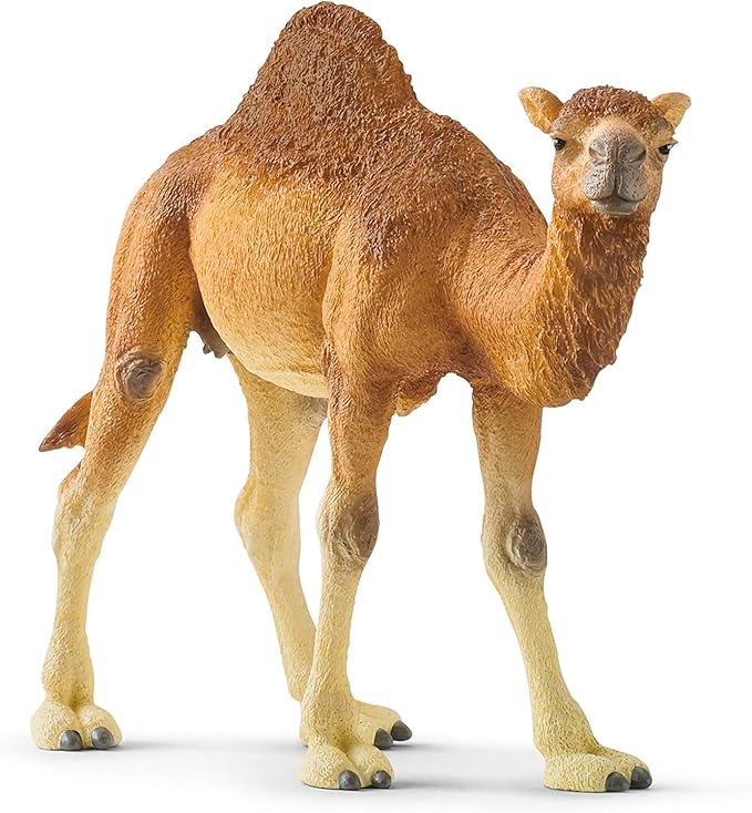 Realistic Schleich Dromedary Camel Figure