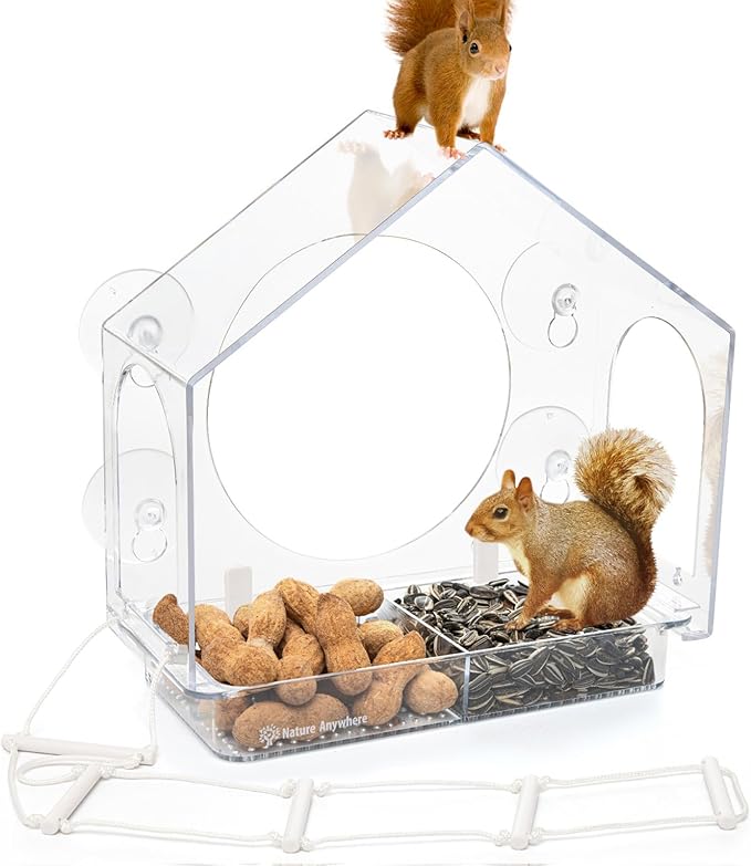 Chipmunk Stickers for Cozy Decor