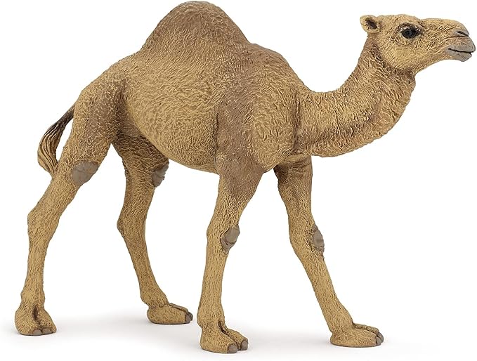 Papo Desert Camel Collectible Figure