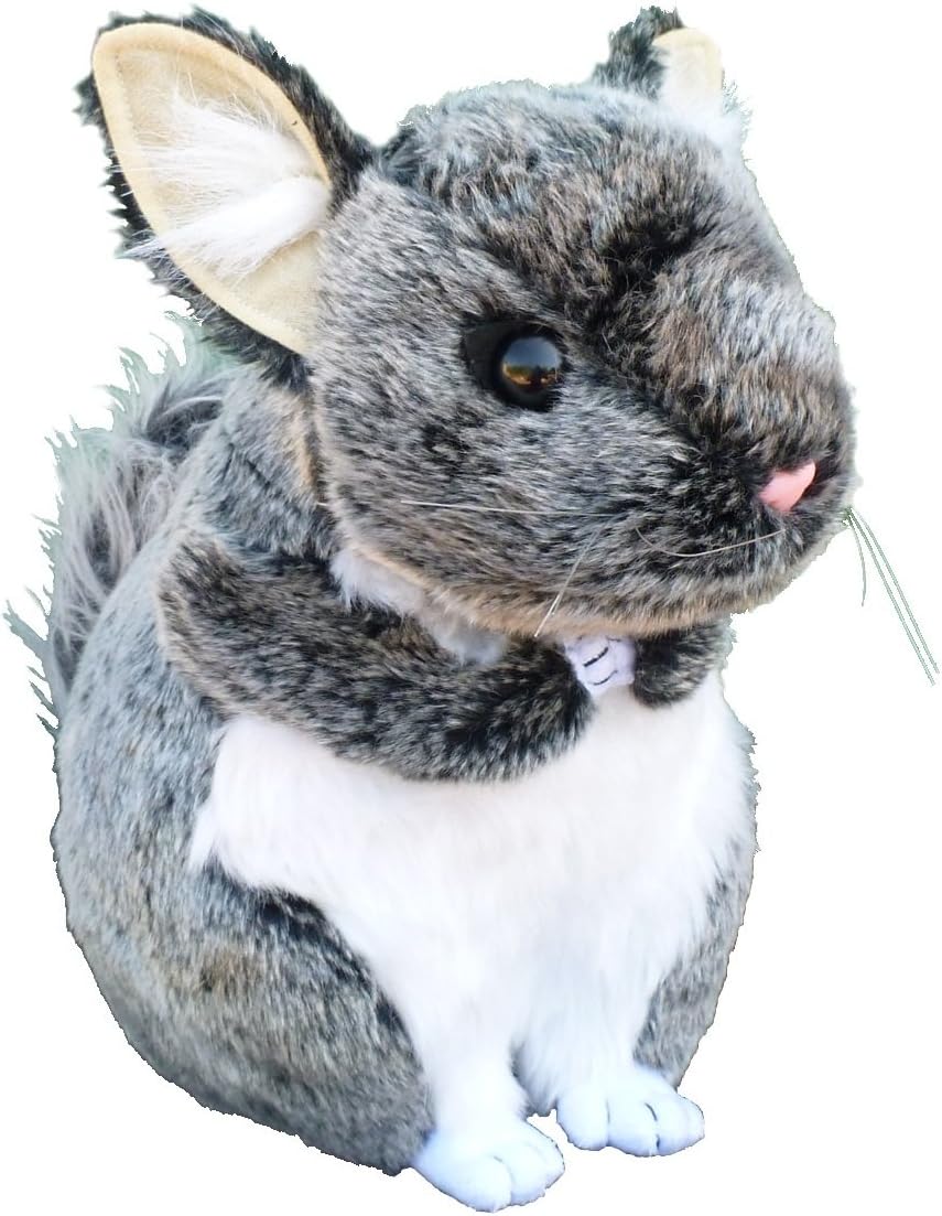 Chew Toy for Busy Chinchillas