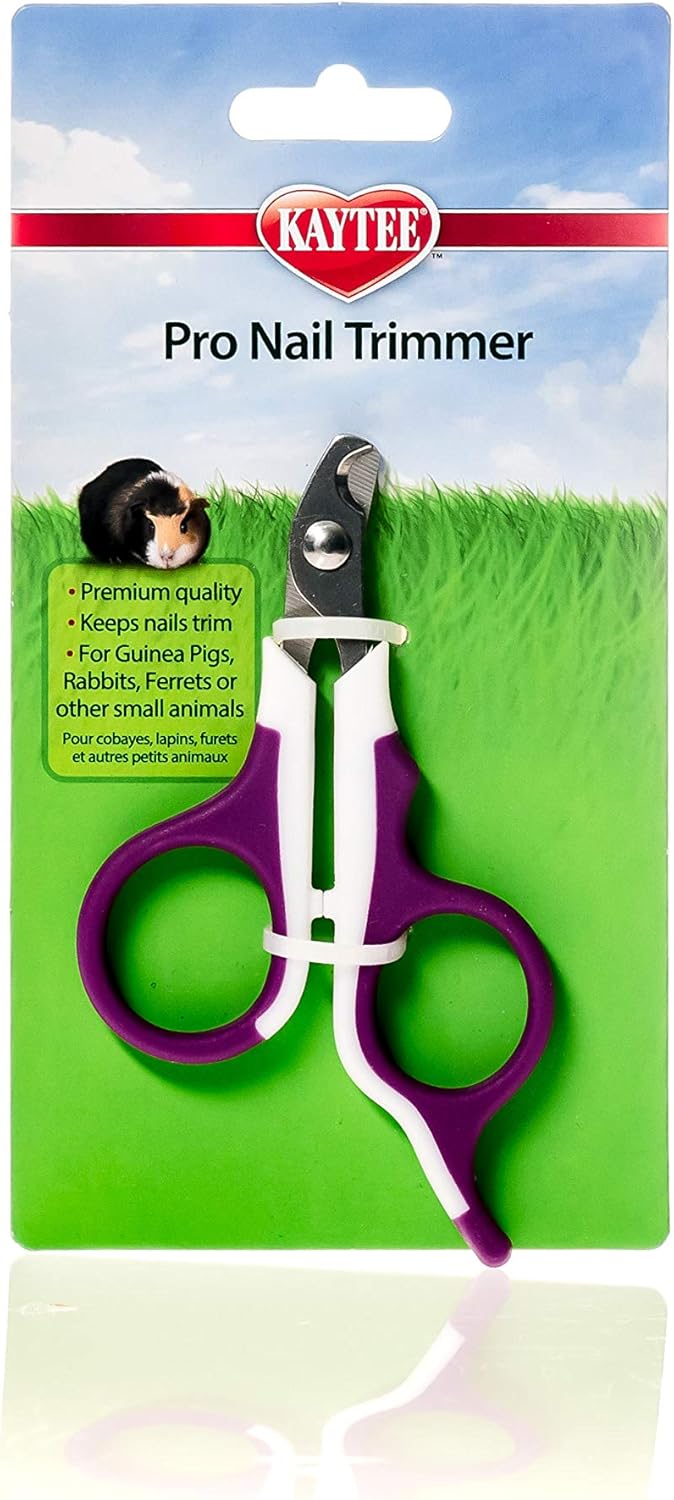 Timothy Hay for Happy Rabbits