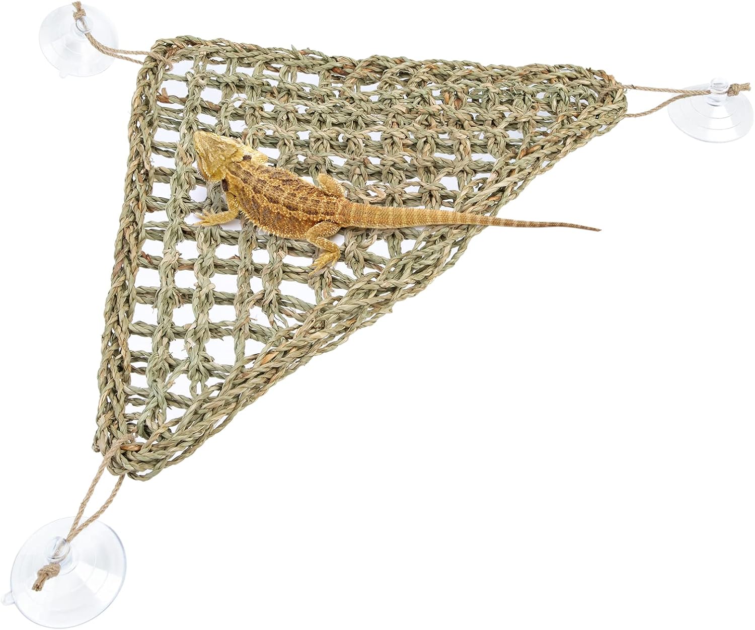 Lizard Hammock for Basking and Lounging