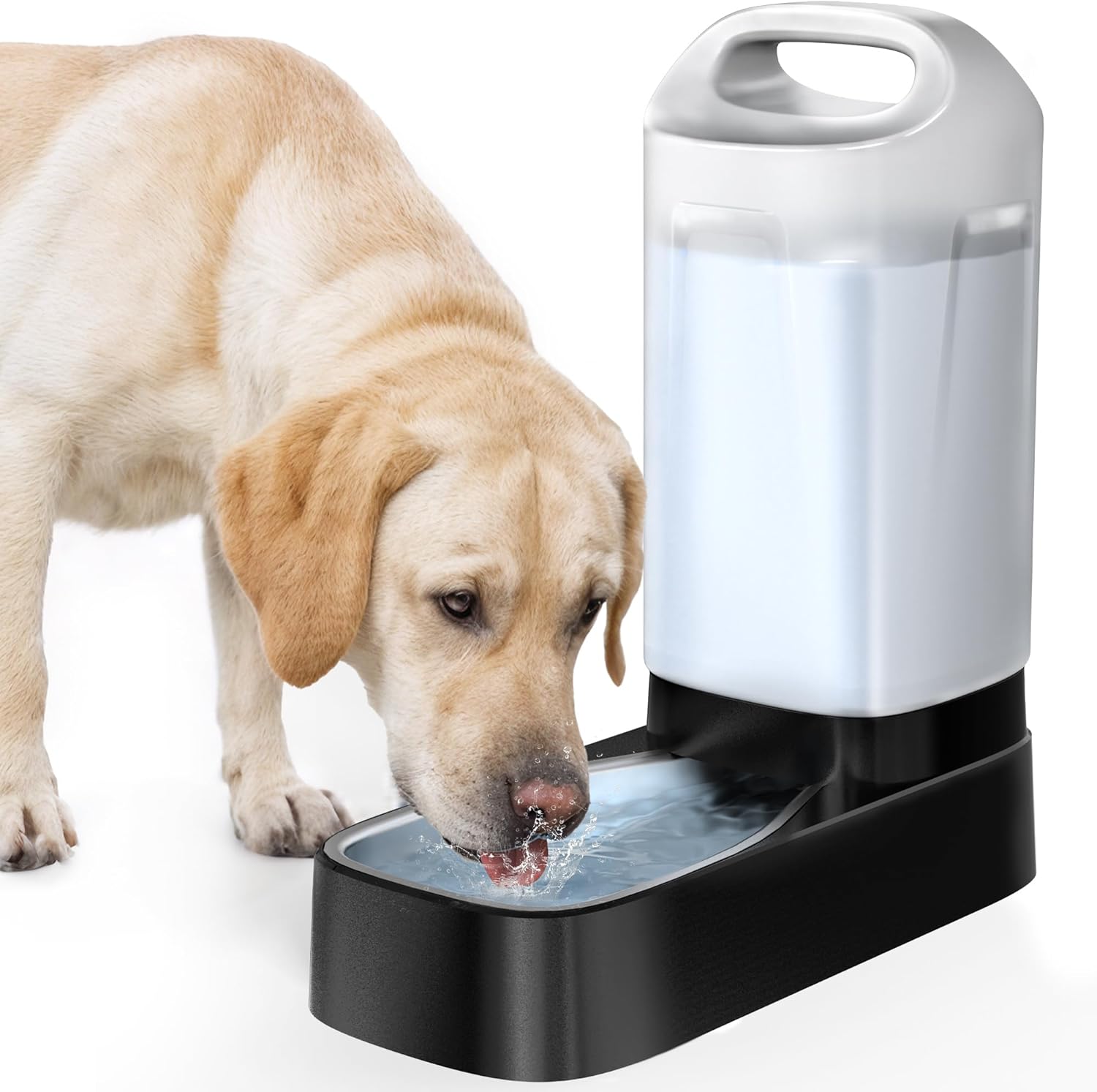 Shared Water Station for Pet Pairs