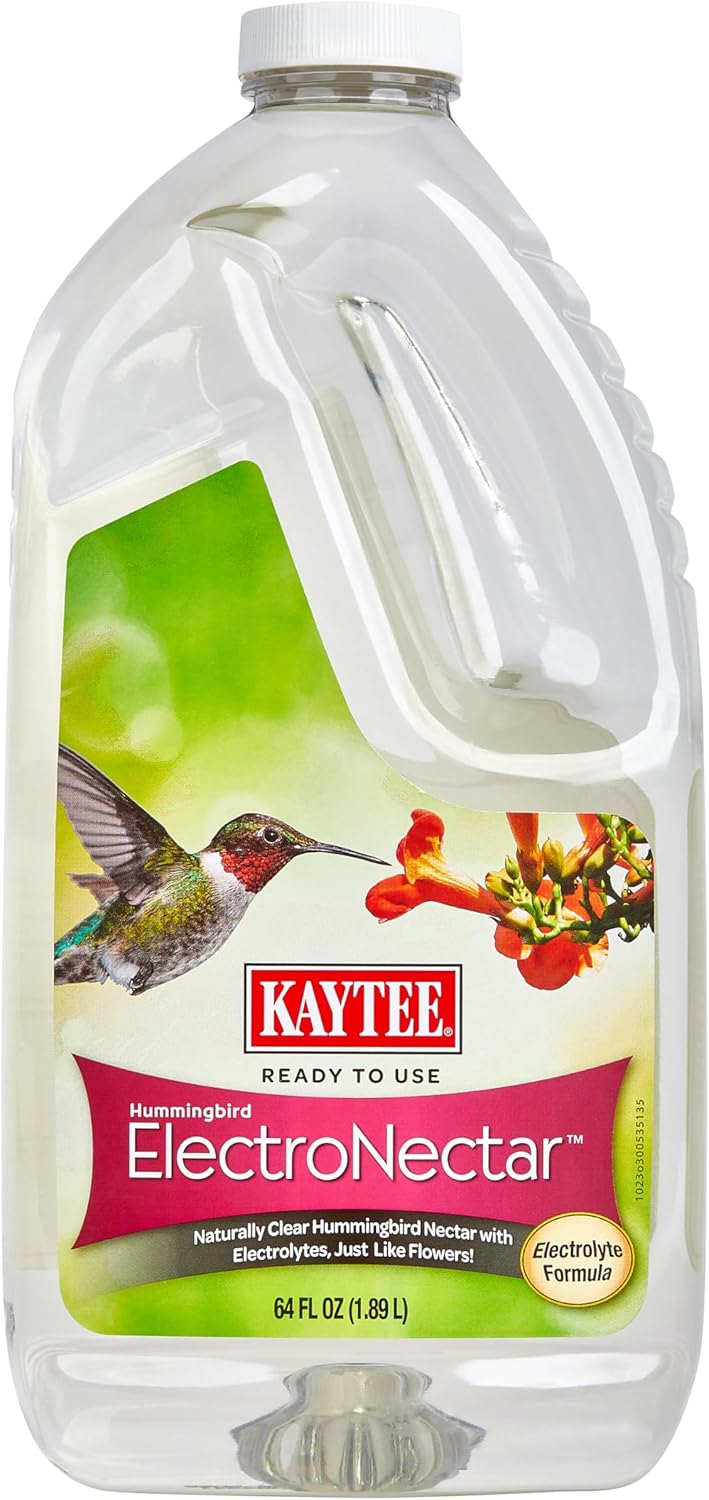 Sweet Garden Pick for Hummingbird Fans