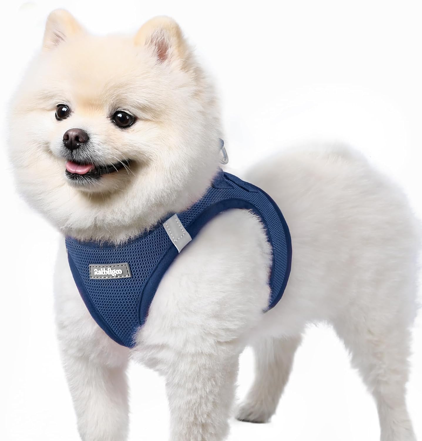 Navy Puppy Harness for Daily Walks