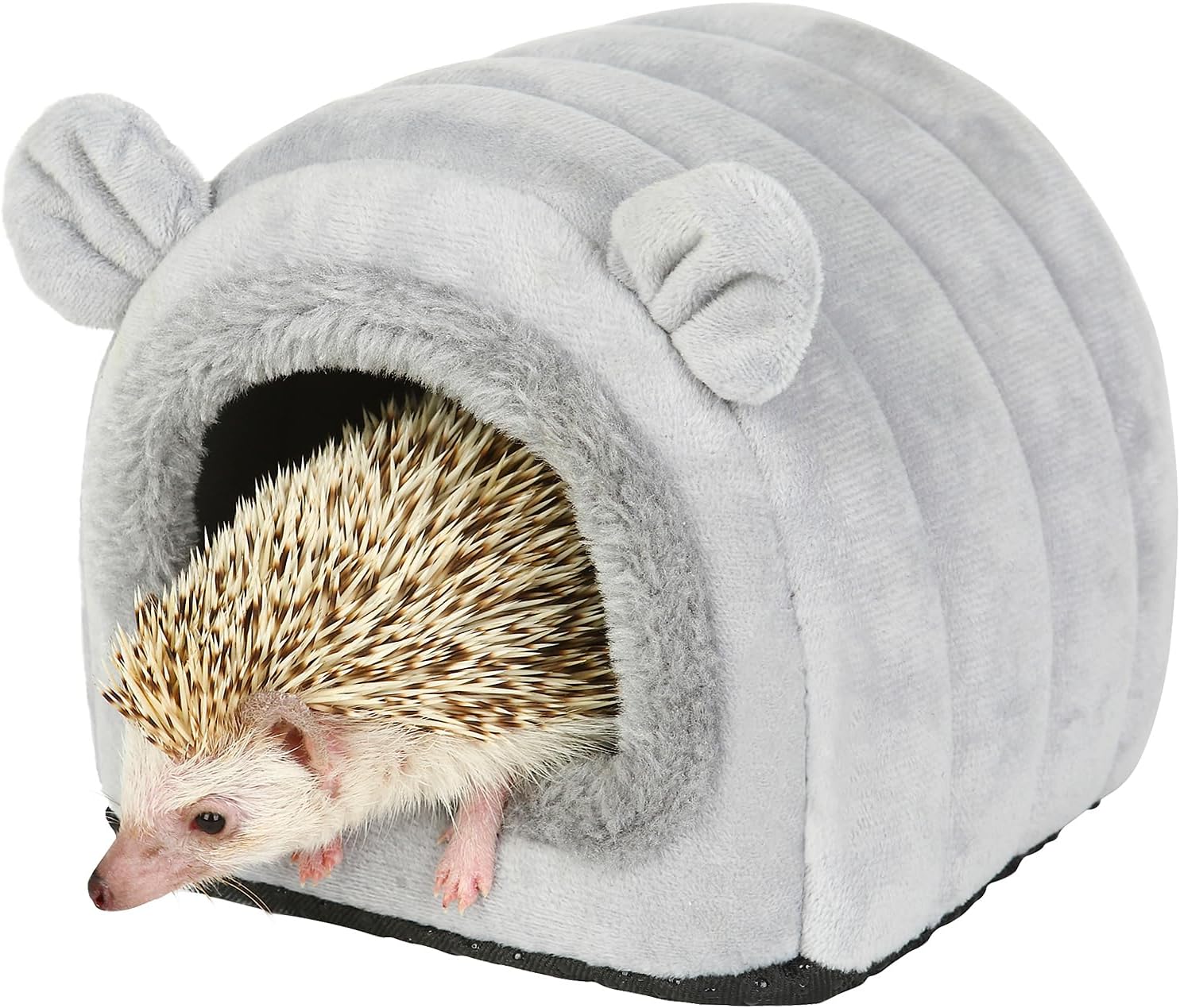 Sweet Hedgehog Gift for Animal Lovers
