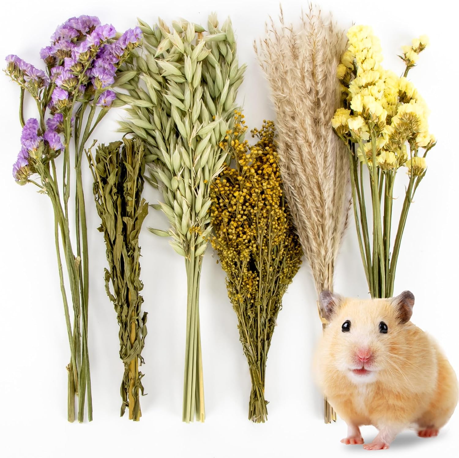 Natural Herb Decor for Rat Habitats