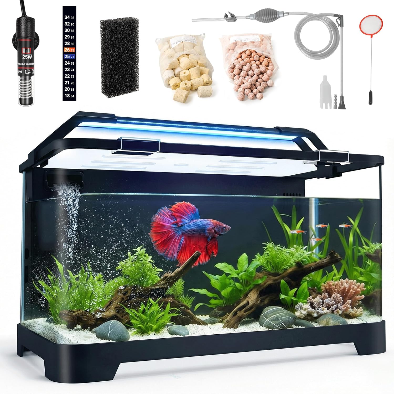 Sweet Fish Pick for Tank Lovers