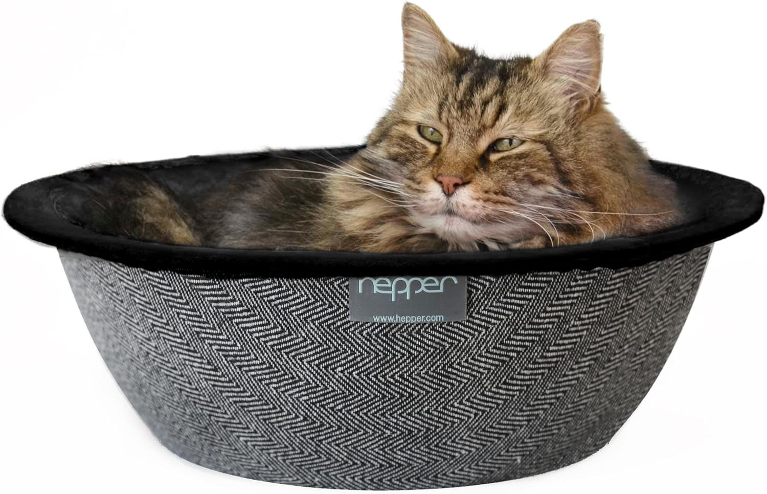 Modern Cat Bed for Siamese Lounging