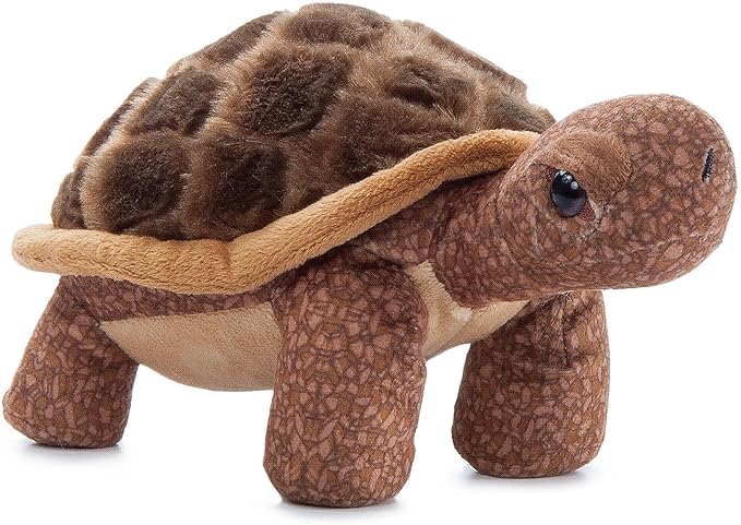 Cuddly Tortoise Plush for Gentle Names