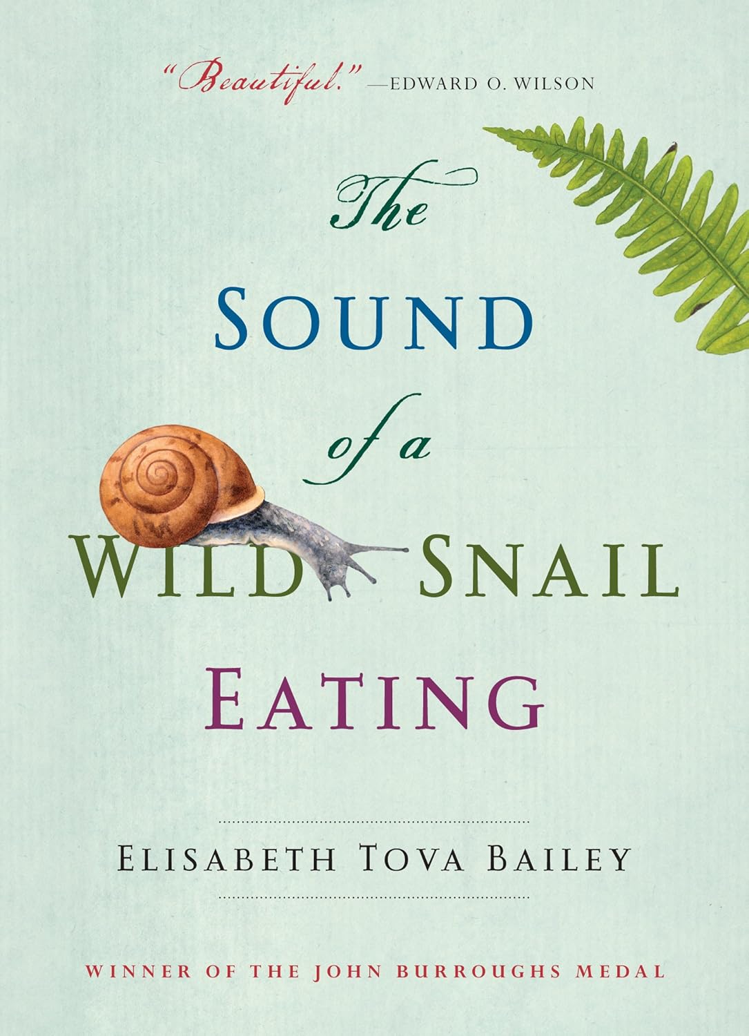 Gentle Snail Book for Slow-Life Inspiration