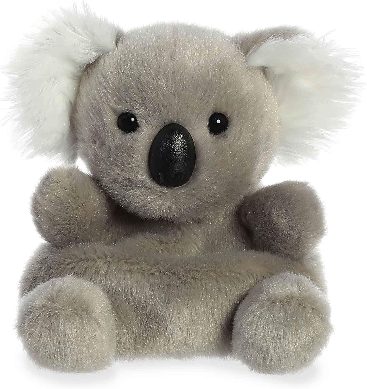 Pocket Koala Plush for Sweet Names
