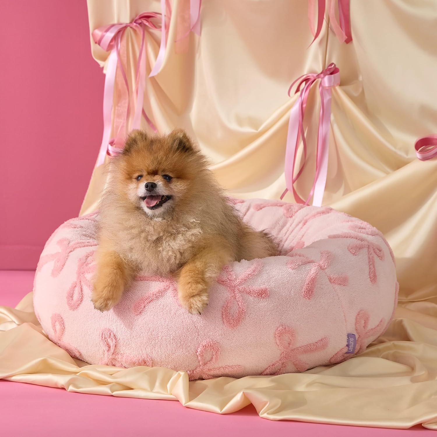 Chihuahua Gift Pick