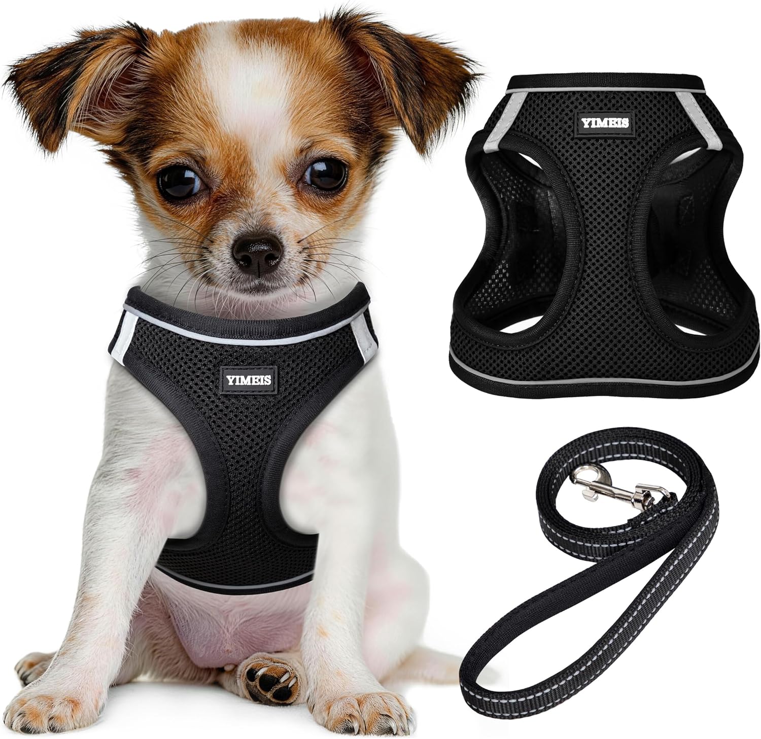 Soft Harness Set for Stylish Girl Pups
