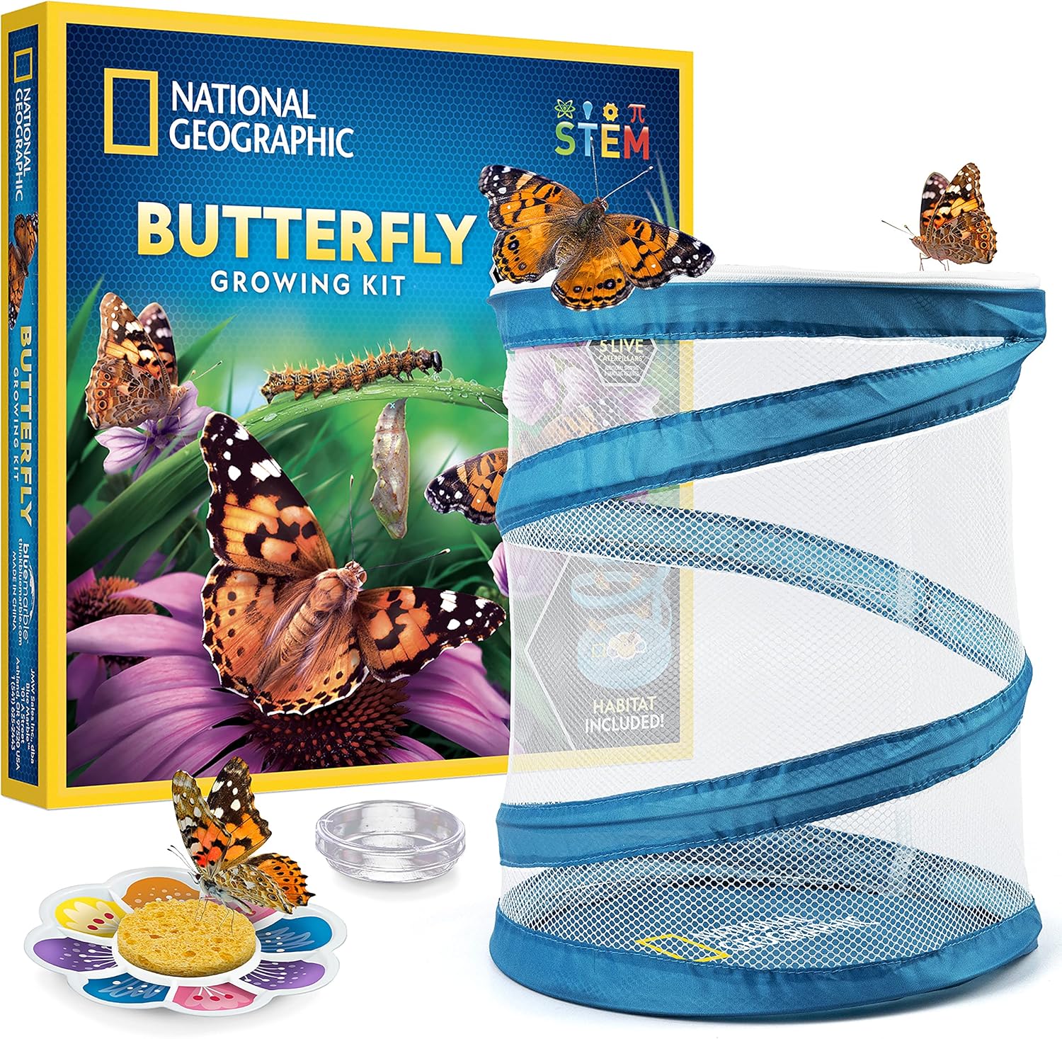 Butterfly Growing Kit for Young Explorers