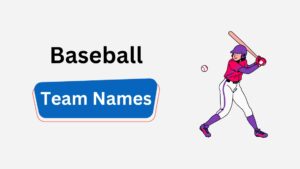 Explore 336 Baseball Team Names in Cool, Unique, and League Choices baseball team names