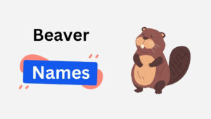 300+ Beaver Names in Cute, Funny, Angry & Disney Categories beaver name ideas