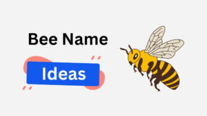 400+ Bee Names With Cute, Funny & Mysterious Choices bee name ideas