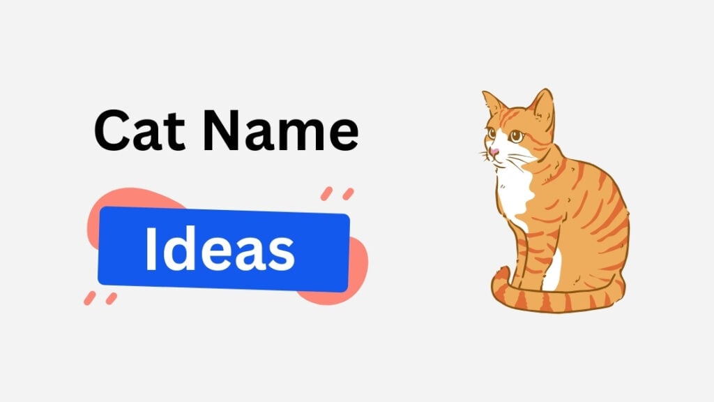 cat name ideas