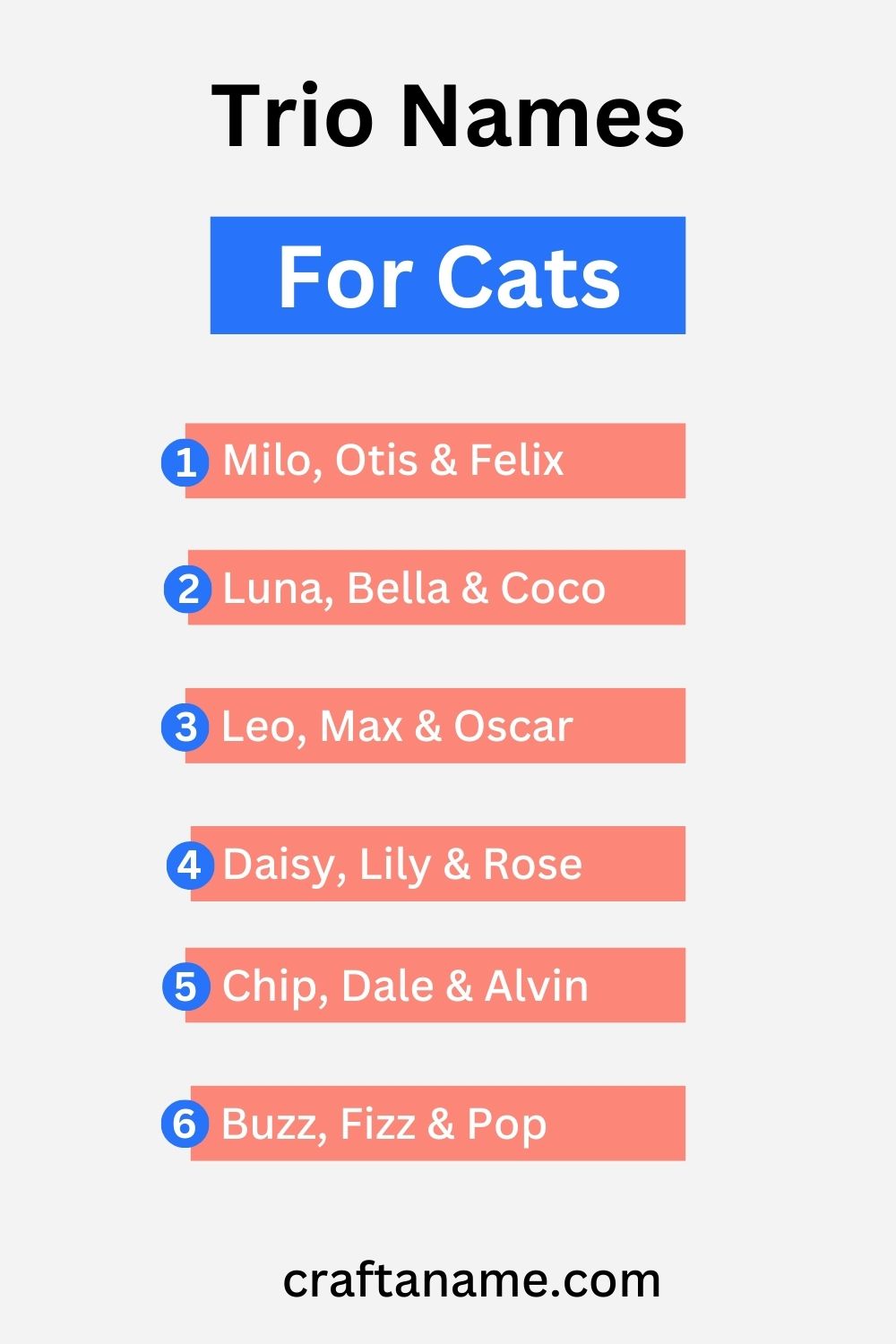 900+ Creative Trio Names For Any Group Of 3 9 cat trio names