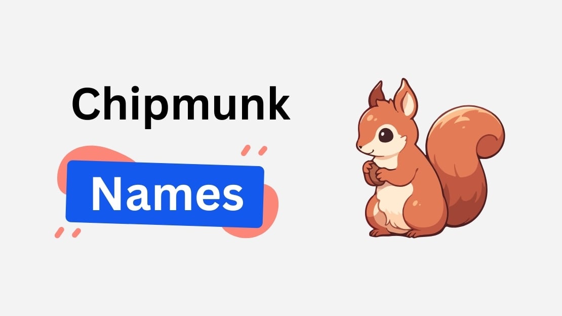 200+ Chipmunk Names: Cute, Cool & Funny Suggestions 1 chipmunk name ideas