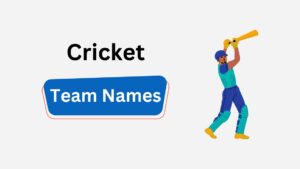 330+ Smashing Cricket Team Names for Your High-Spirited Squad cricket team names