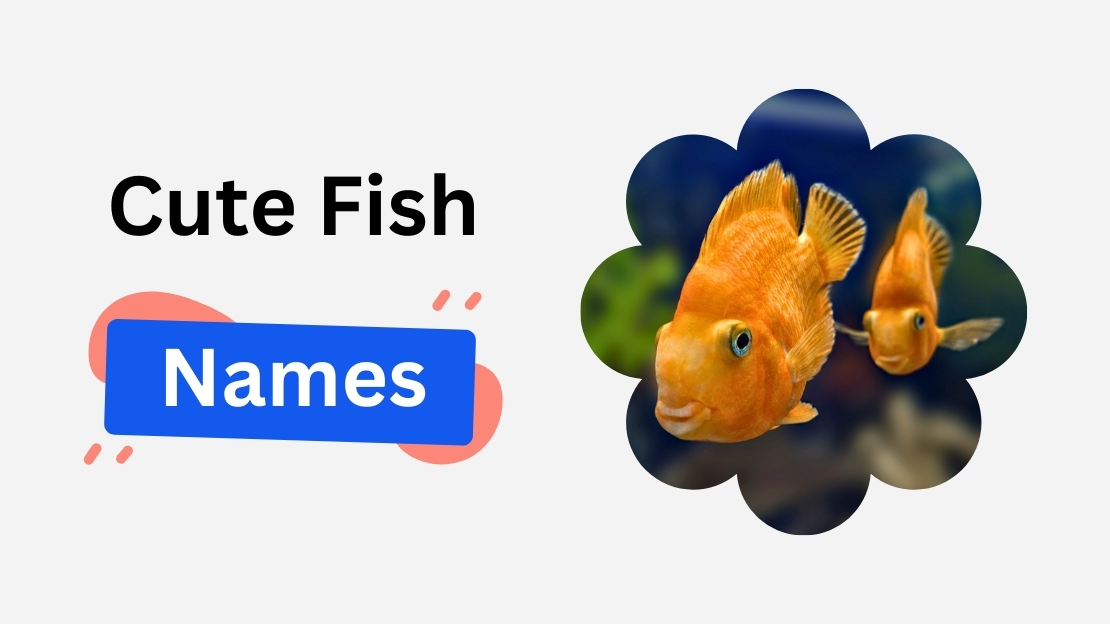cute fish name ideas