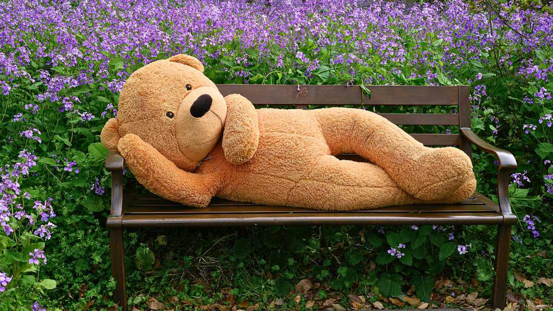 Teddy Bear Names Ideas (Cute, Cozy & Aesthetic Names by Vibe) 7 cute teddy bear names