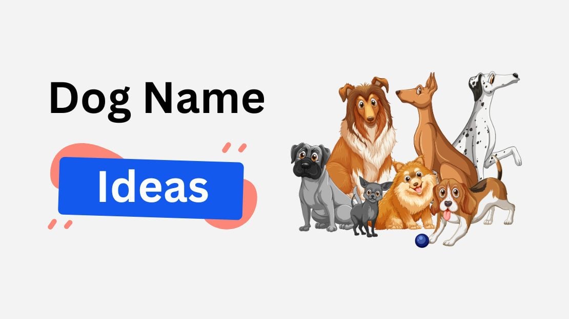 dog name ideas