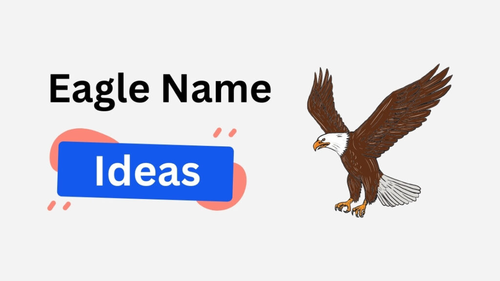 eagle name ideas