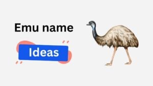 emu name ideas