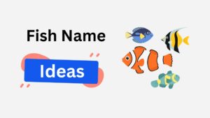 220+ Funny, Cute, Unique & Aquarium Fish Names fish name ideas