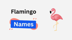 300+ Flamingo Names to Praise Their Flaming Beauty & Charm flamingo name ideas
