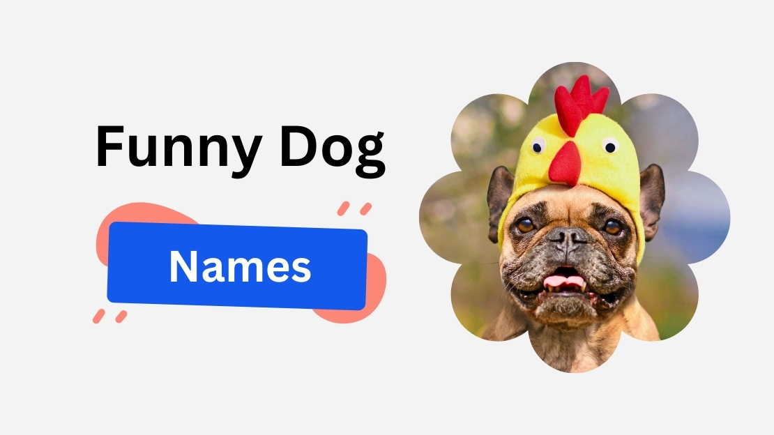 funny names for dogs