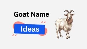 270+ Cool Goat Names: Funny, Cute & Unique Suggestions goat name ideas
