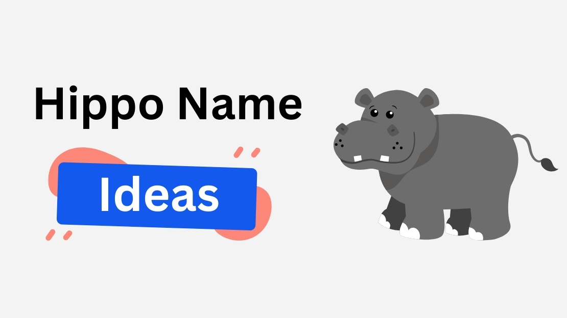hippo name ideas