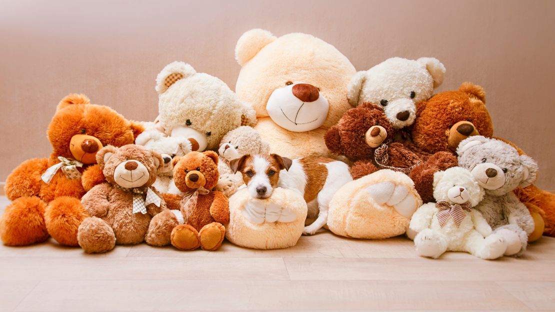 Teddy Bear Names Ideas (Cute, Cozy & Aesthetic Names by Vibe) 4 names for a teddy bear