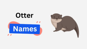 250+ Catchy Otter Names with Famous, and Unique Options otter name ideas