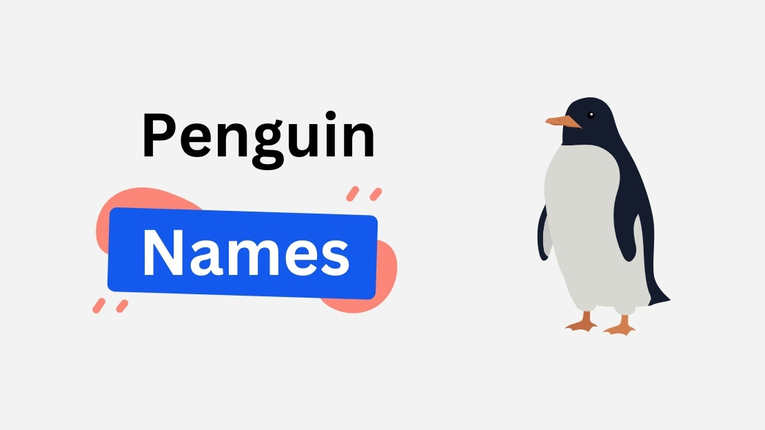 penguin name ideas