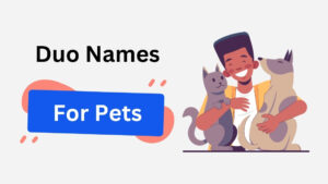 150+ Best Duo Names for Pets: Funny, Unique & Creative duo names for pets