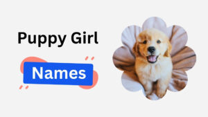 200+ Puppy Girl Names – Soft, Bold,Lovely & Full of Heart puppy girl names