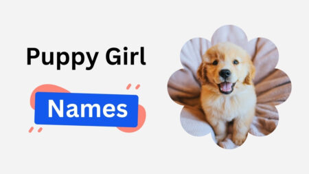 puppy girl names