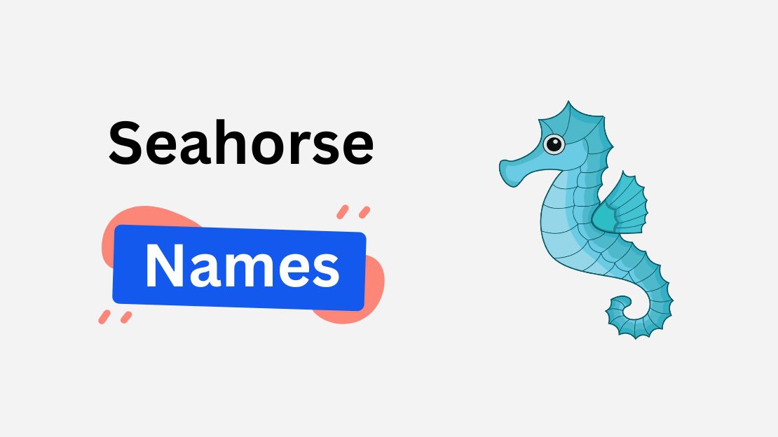 294+ Seahorse Names with Mythical, Scientific, Funny, and Multilingual Choices 1 seahorse name ideas