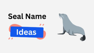100+ Unique Seal Names: Pet Names For Your Ocean Friend seal name ideas